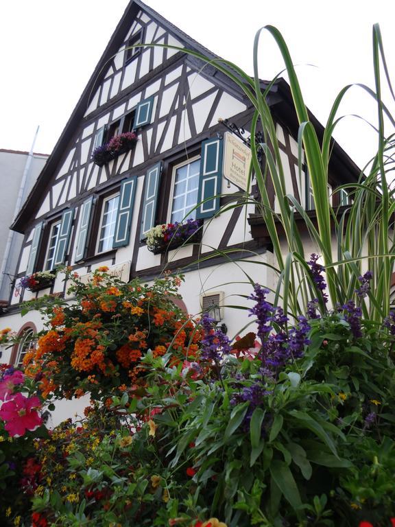 Hotel Schuetzenhof Spa Garden Buerstadt ภายนอก รูปภาพ